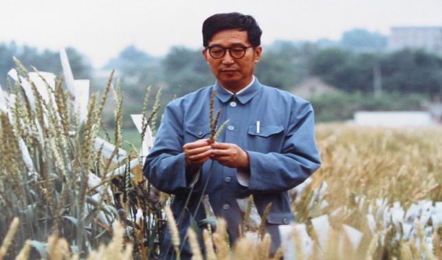 躬耕農(nóng)業(yè) 持之以恒——“共和國勛章”獲得者李振聲