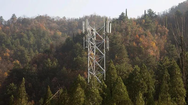 1密林深處，豎立起格外醒目的移動(dòng)4G基站.jpg