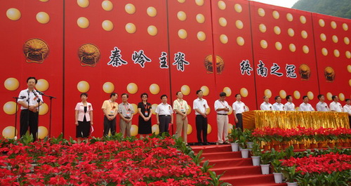 柞水牛背梁國家森林公園今日正式開園