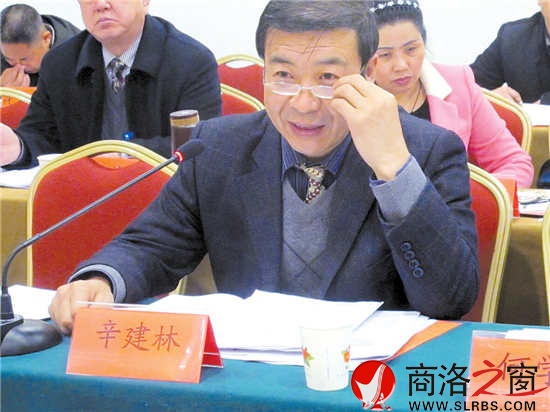 市人大代表辛建林參加丹鳳代表團(tuán)審議《政府工作報(bào)告》時(shí)建議，把城市規(guī)劃放在更加重要的位置，做好棚戶區(qū)改造工作，加強(qiáng)對(duì)群眾建房的規(guī)劃和管理。      （見習(xí)記者 董 楠 攝）