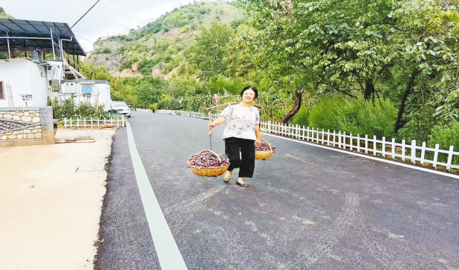 一條柏油路，串起果農(nóng)新生活