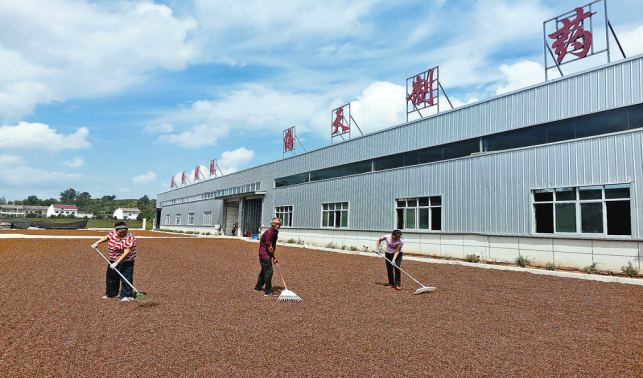 圖片新聞