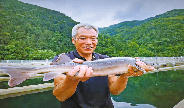 養(yǎng)殖冷水魚 帶動“熱經(jīng)濟”