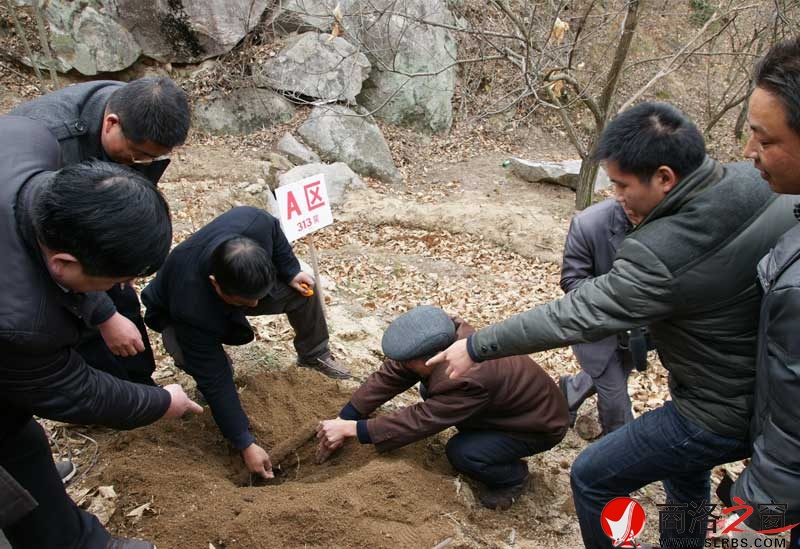 商南縣政府開展送政策、送技術(shù)、送溫暖活動